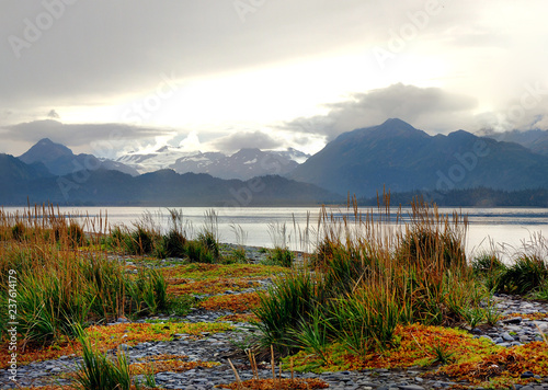 Fall Colors on the Spit of Homer, Alaska photo