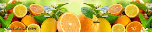 Panel kuchenny z motywem citrus fruit