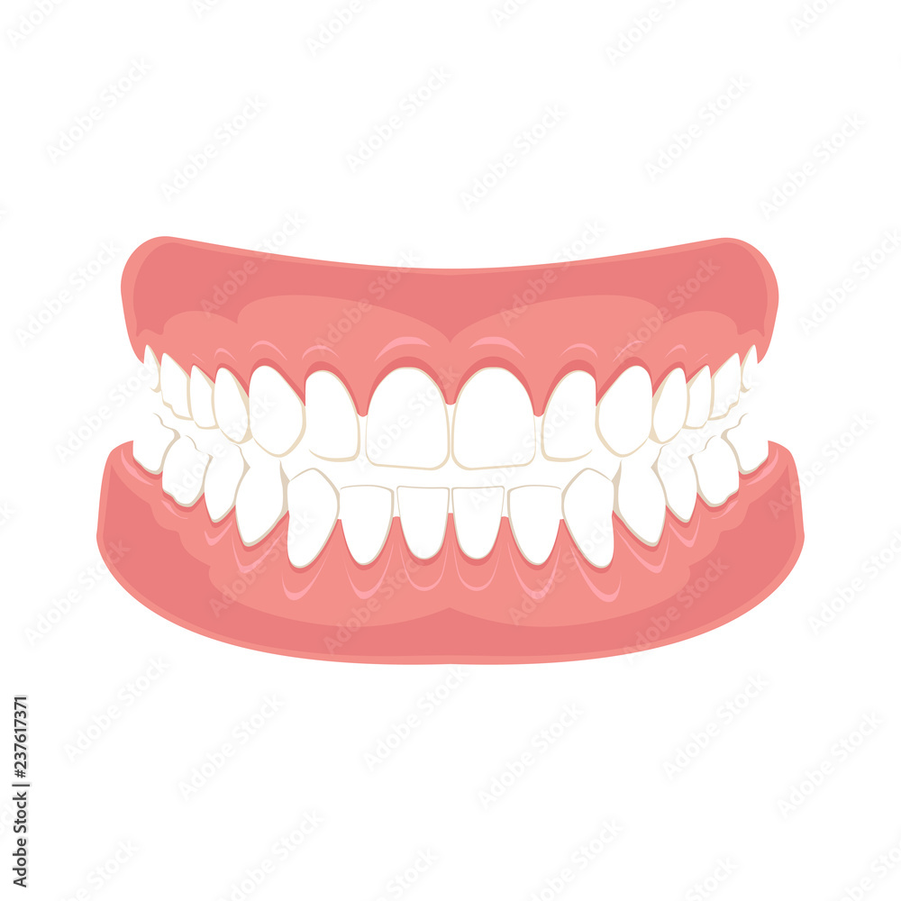 Denture icon. Icon gums with teeth or dentures. Dental prosthesis, tooth orthopedics sign, teeth image, icon dental. Vector illustration.