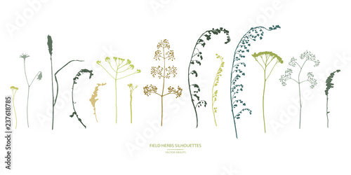 Vector silhouettes collection. Set of field flowers, herbs.