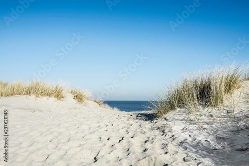 Trail to the beach through dunes, East Frisian Islands, Spiekeroog, Lower Saxony, Germany, Europe photo