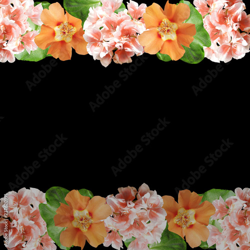Fototapeta Naklejka Na Ścianę i Meble -  Beautiful floral background of pelargonium and purslane 