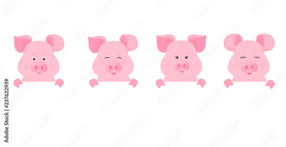 Pigs hold a blank sign, clean banner. Cute piggy.