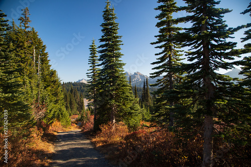 Lost in the woods, what else can I ask? Trapped by its beauty and breathing its soul. Lost in the mountains, higher than the clouds, cuddle by the wind, and amazed by the sun.