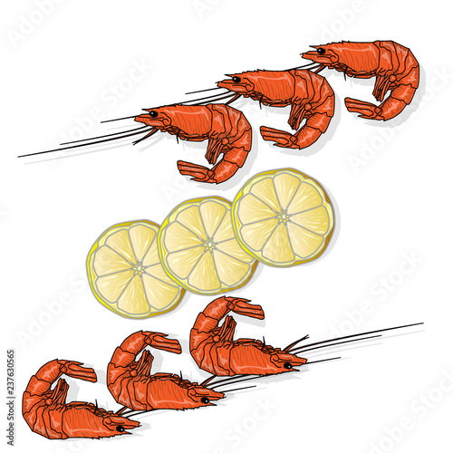 Red cooked prawn or tiger shrimp vector illustration isolated on white background