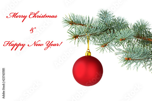 Red Christmas ball hanging on silver fir tree branches over white background. Christmas card.