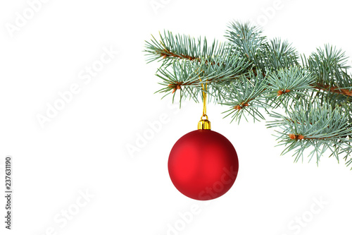 Red Christmas ball hanging on silver fir tree branches over white background. Christmas card.