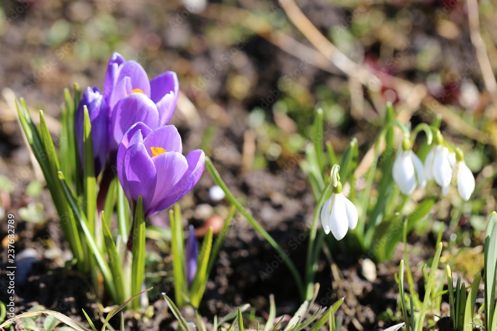 natur natur