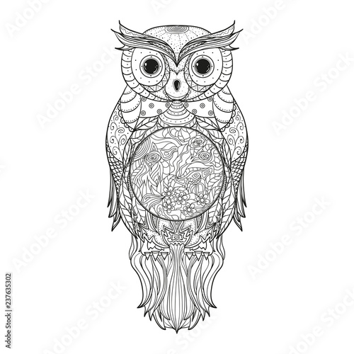 Owl on isolated white. Zentangle. Detailed hand drawn vintage bird with abstract patterns on isolation background. Design for spiritual relaxation for adults