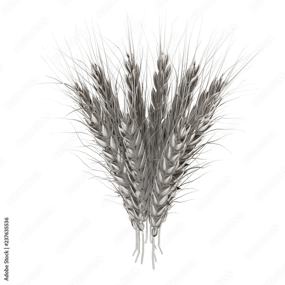 Metall spikelet. 3d render Metall spikelet. 3d render