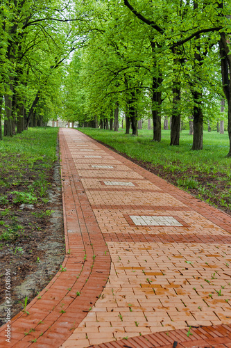 Stone paving in the Engelhardt estate garden. Shevchenkove, Ukraine. photo