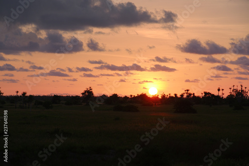 View of sunset with tree silhouettes in Kwanza Sul, Angola