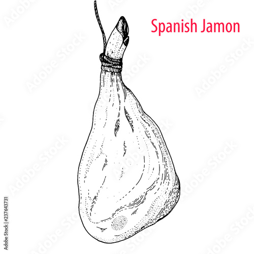 Spanish jamon hand drawn sketch. Engraved illustration.
