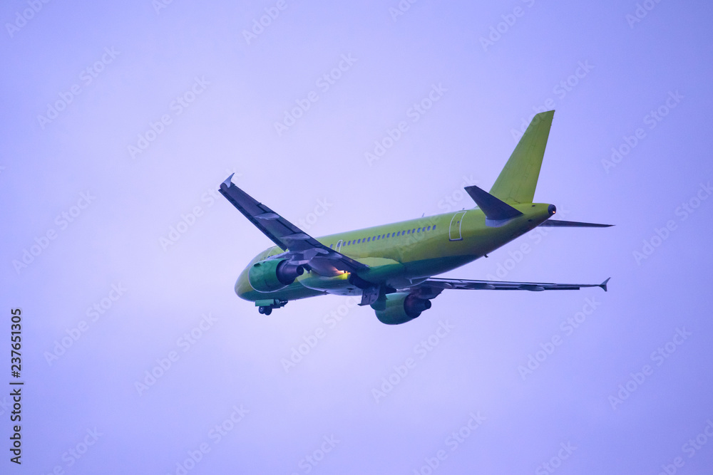 Obraz premium takeoff of a green passenger airplane against a purple sky