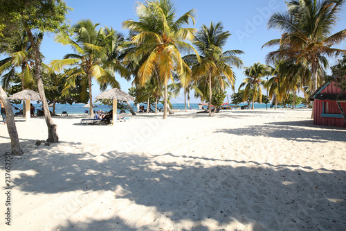 tropical beach with palm trees and white sand. Summer concept background - Sea or Ocean Beach. Wallpaper, postcard