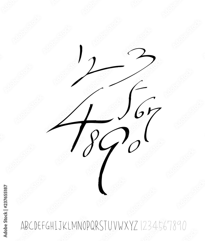 Fototapeta premium 벡터 문자 / 손으로 쓴 글씨체