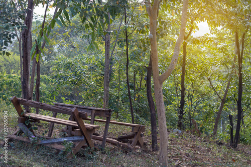 Ruins old wooden chairs in the forest.