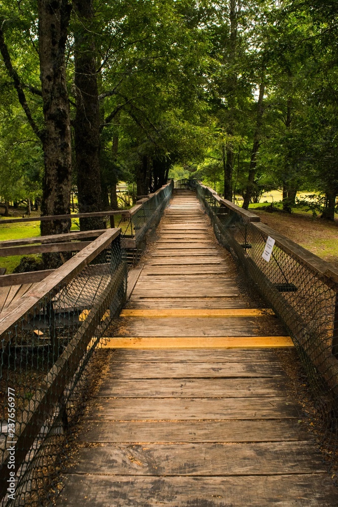 Puente Camino Madera Puente Camino Madera
