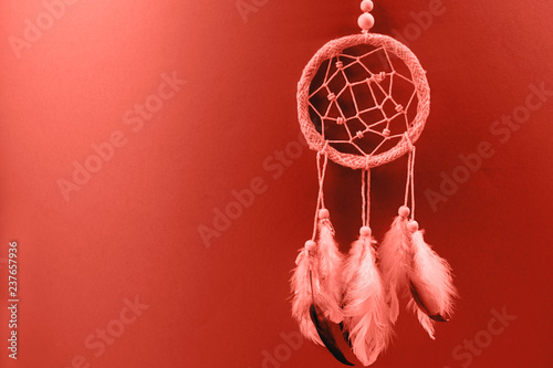 Dream catcher with feathers on gradient coral background.