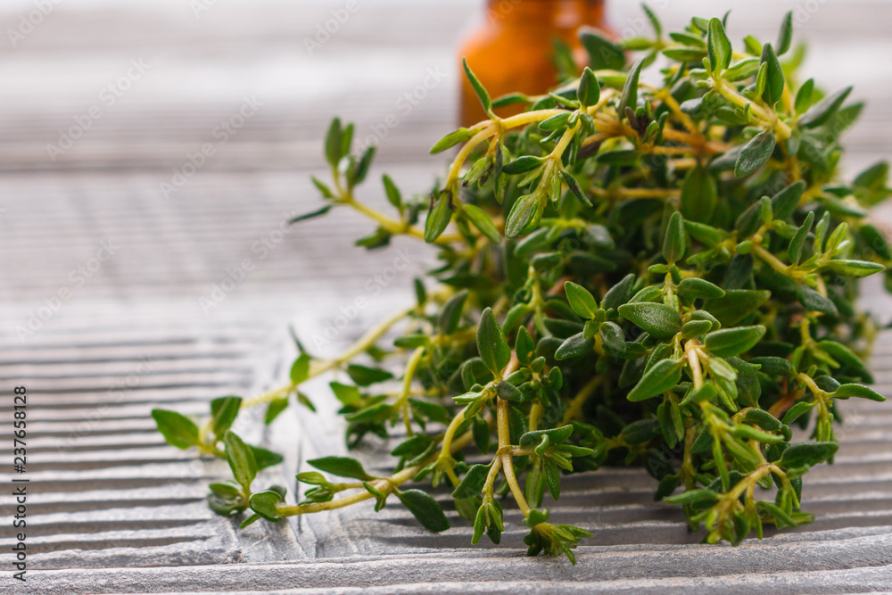 essential oil of thyme on a gray wooden rustic background essential oil of thyme on a gray wooden rustic background