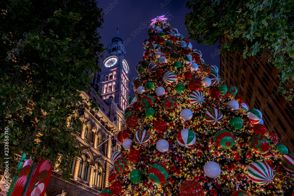 Fototapeta premium Chritmas tree in Sydney's Martin Place very early in the morning