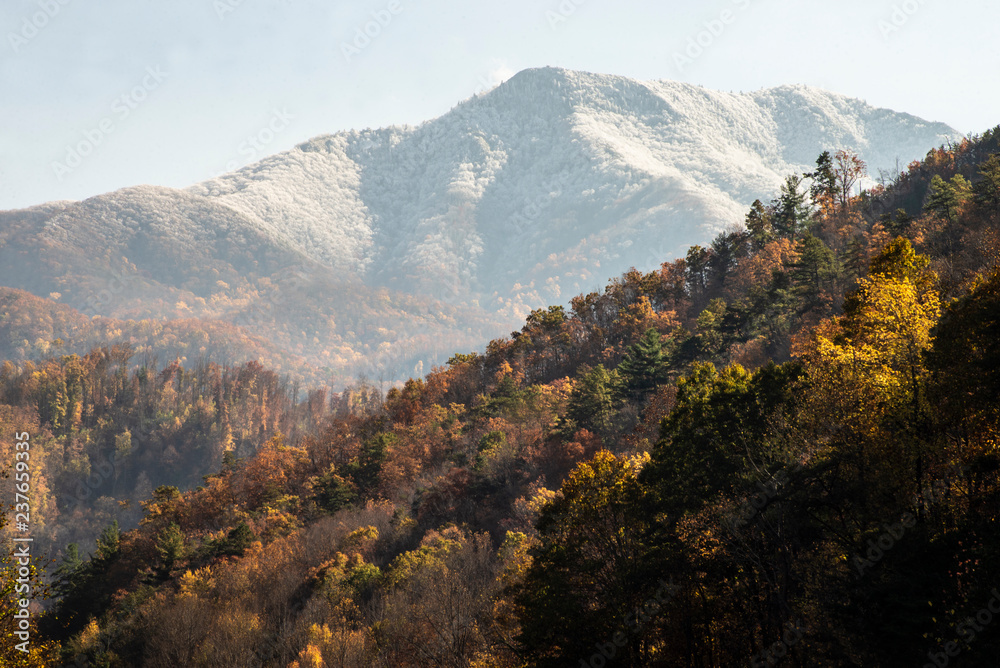 Changing seasons from fall to winter in the Smoky Mountains.