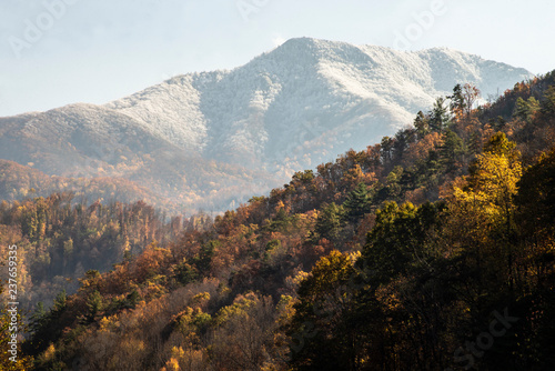 Changing seasons from fall to winter in the Smoky Mountains. © bettys4240