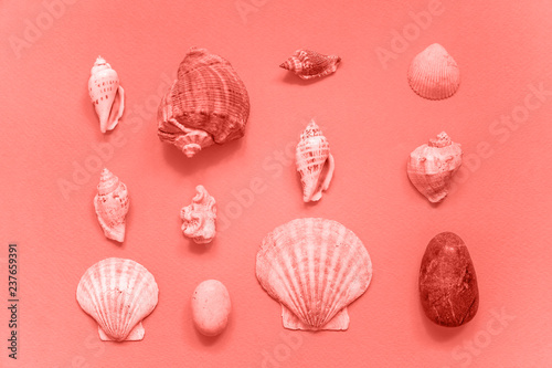 Tropical concept with seashell colored in trendy color of year 2019 Living Coral background. Bright Macro color 16-1546. Vacation travel summer weekend sea adventure trip