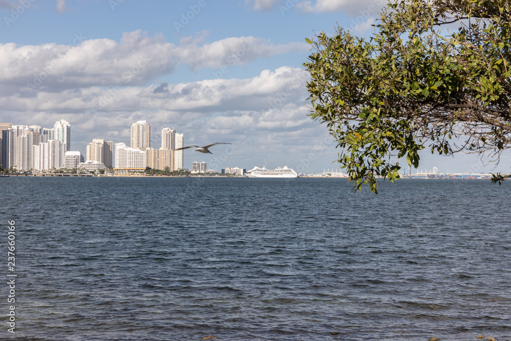 skyline