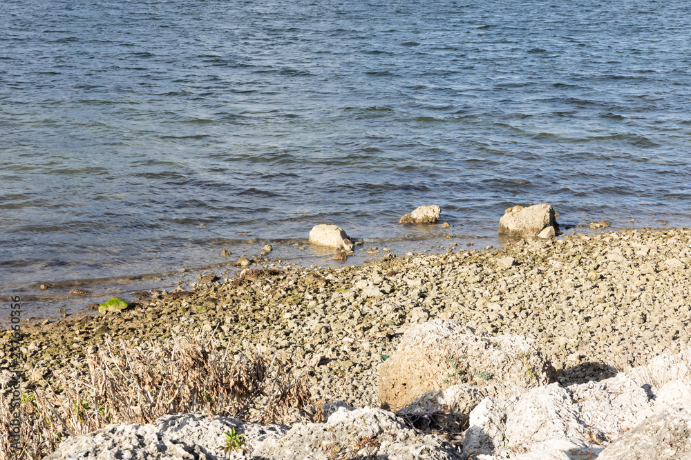 stones in water