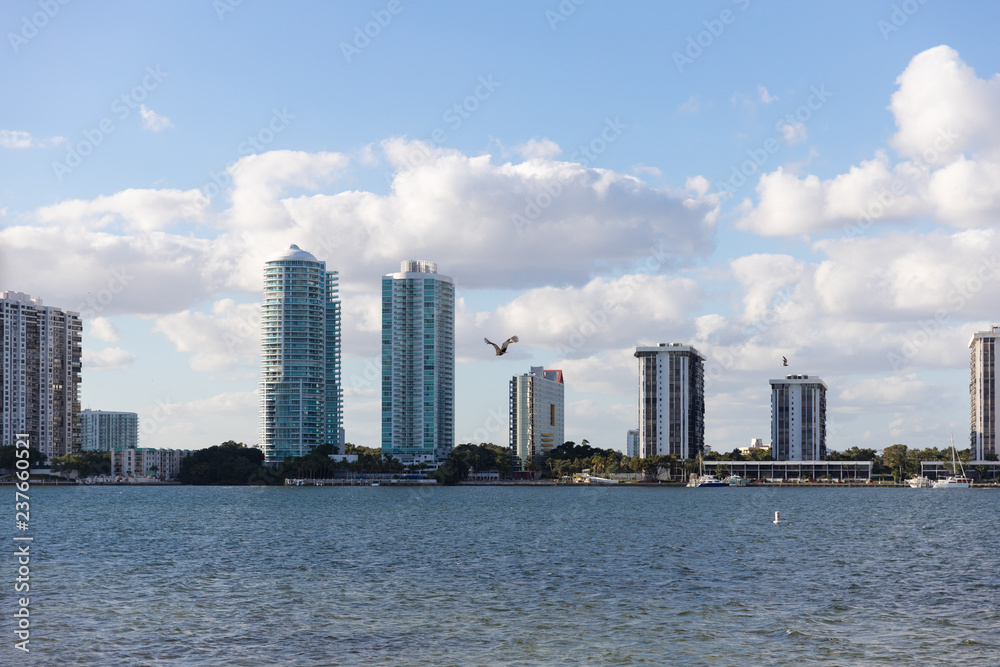 skyline of miami