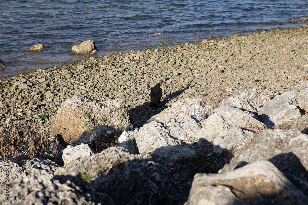 stones on the beach