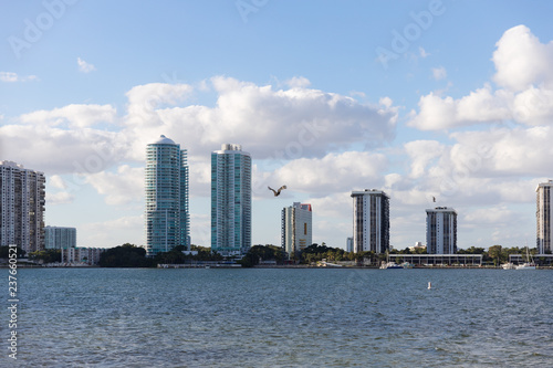 Obraz na płótnie skyline of miami w salonie