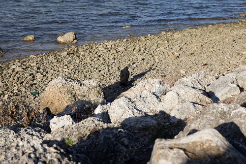 Obraz na płótnie stones on the beach w salonie