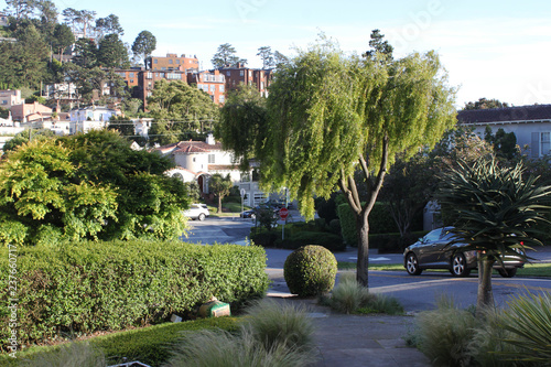 Canvas Print park in the city