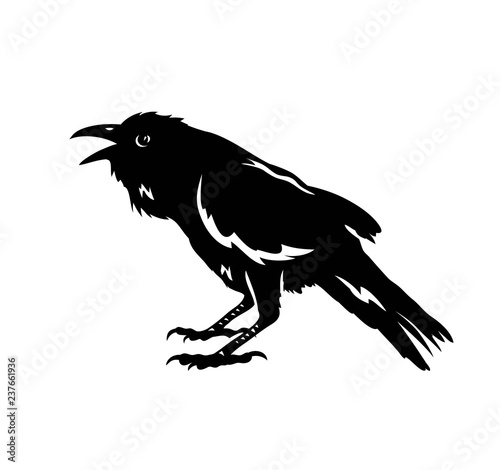 Raven Bird Silhouette, art vector design