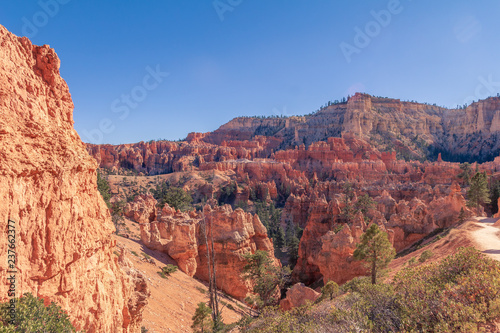 bryce canyon national park in usa © Vauto Mendes