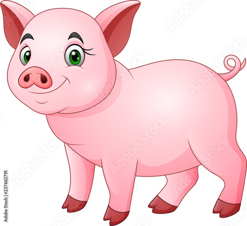 Cute pig cartoon