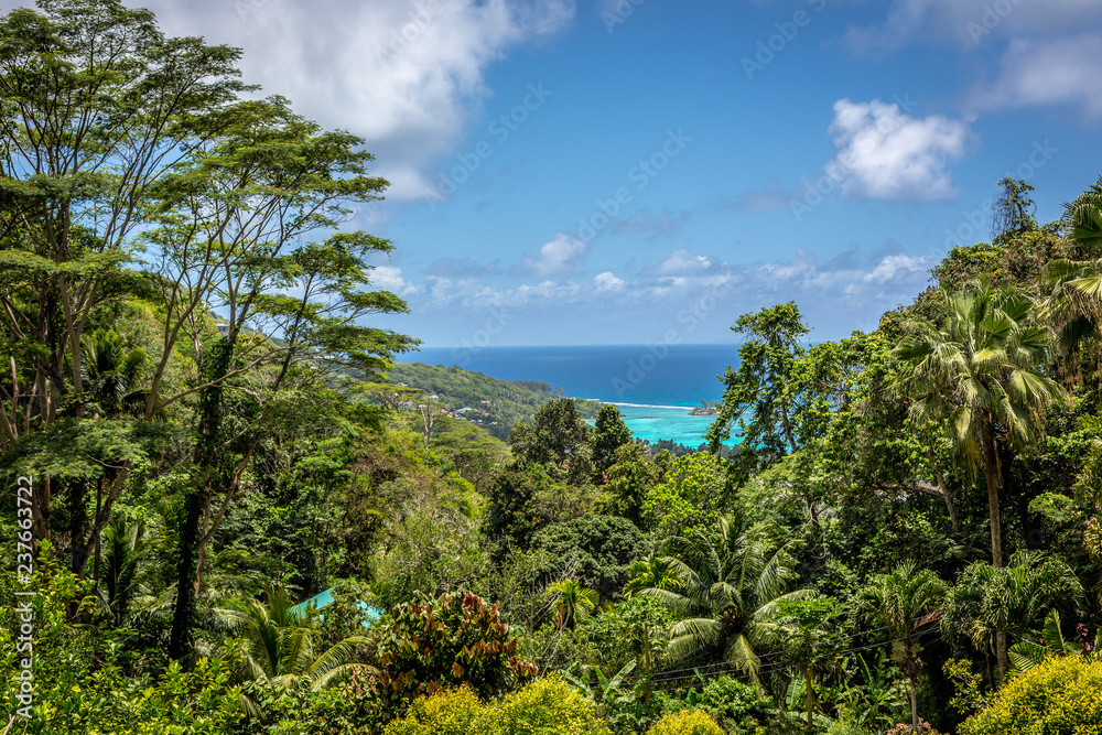 High view of the sea in Mahe with the green tropical forest in the foreground in a sunny blue sky day