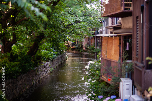 Canal in Gion
