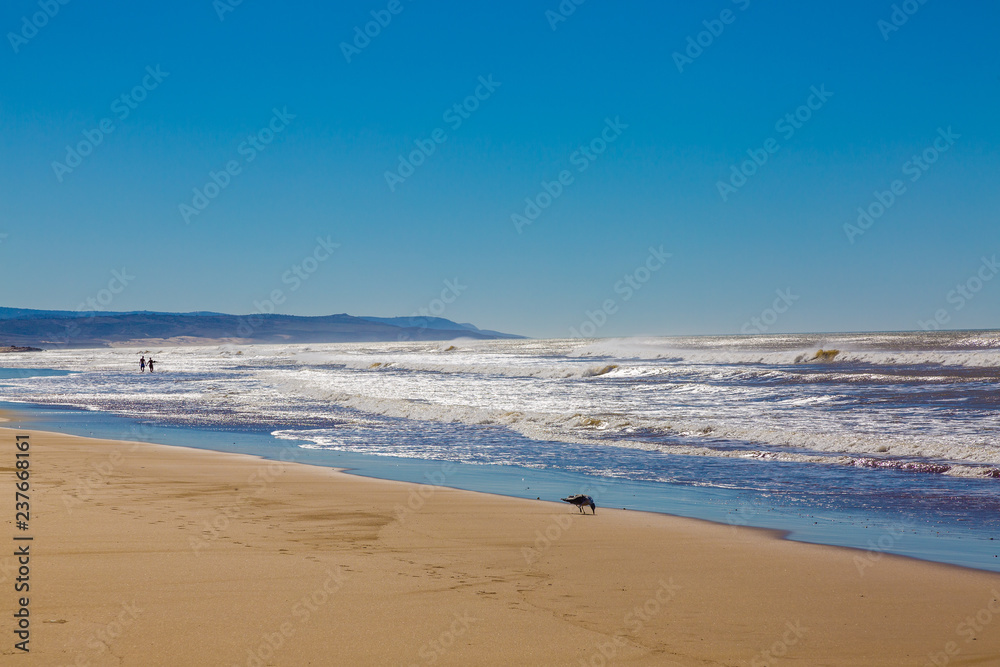 Sandy beach on the coast near Essaouira