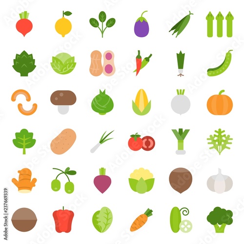 Vegetable icon set, flat style vector illustration