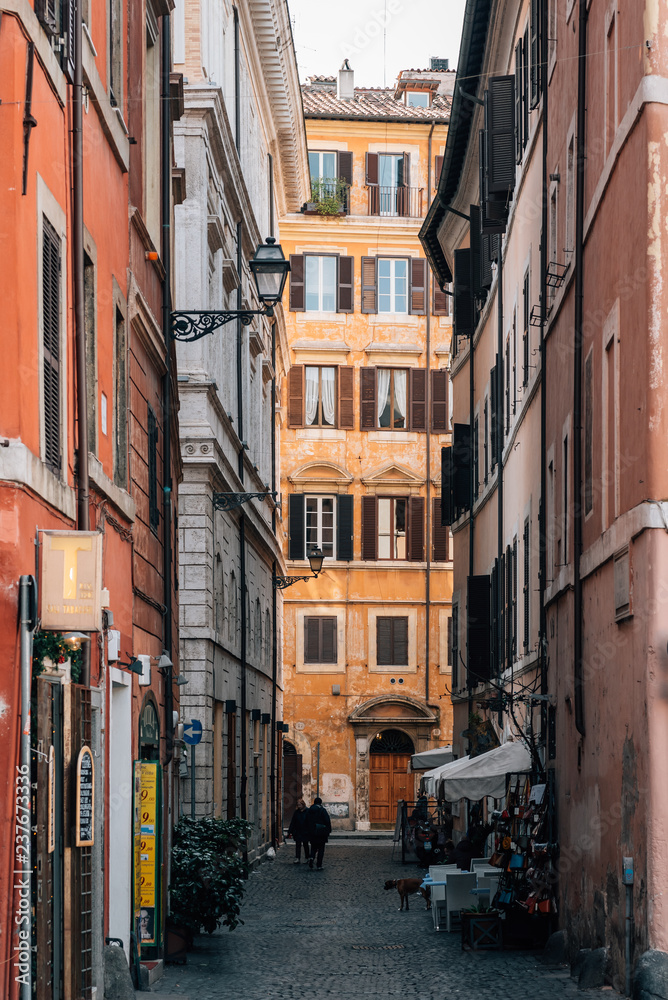 Vicolo del Curato, a narrow street in Rome, Italy