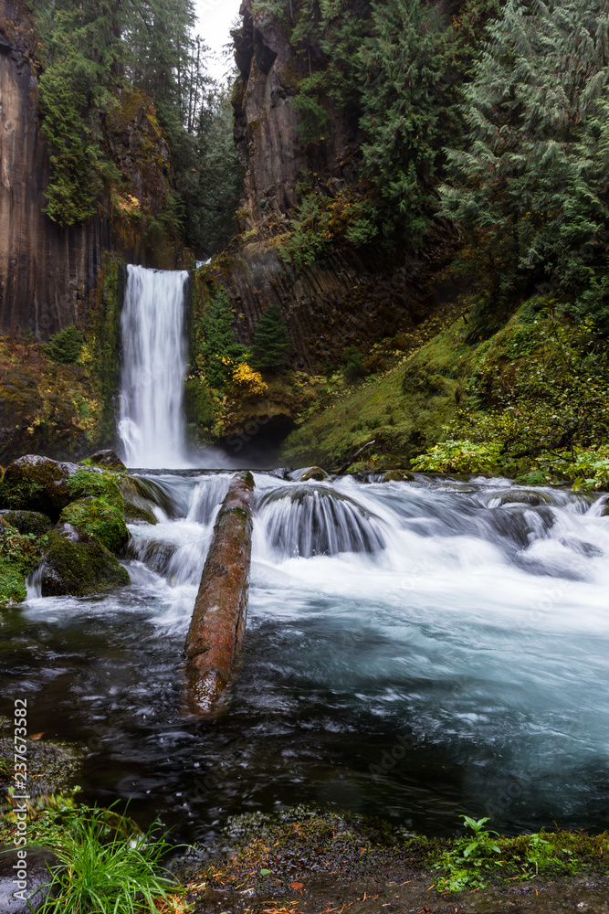 Obraz premium Toketee Falls, Umpqua National Forest, Oregon
