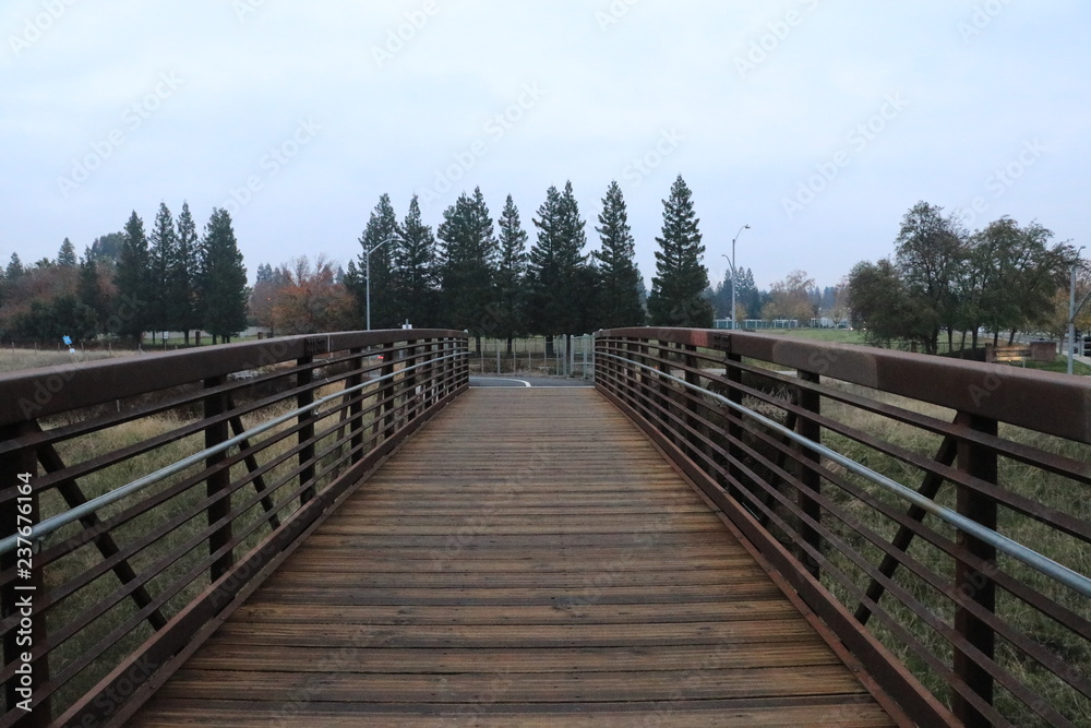 Foot bridge Foot bridge