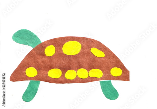 children drawing turtle white background photo