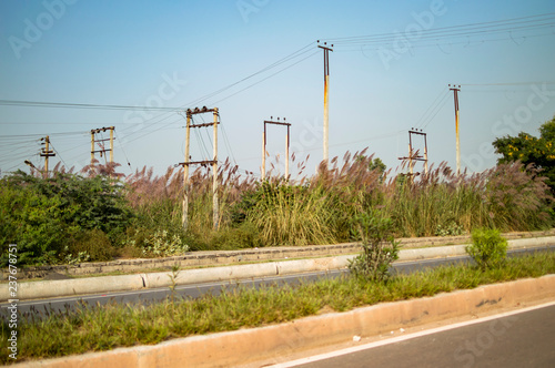 Electric poles, lines and green trees on the sides
