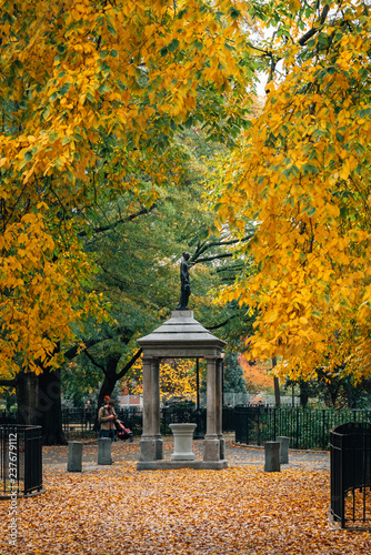 Autumn color at Tompkins Square Park, in the East Village, New York City photo