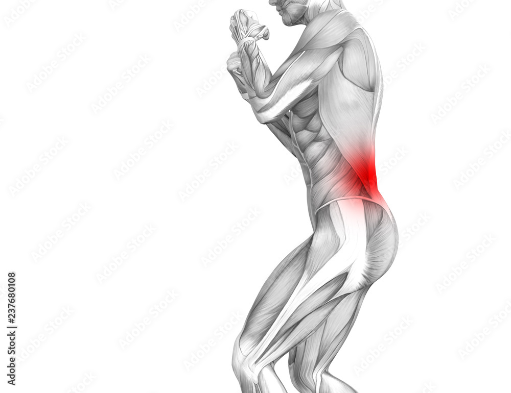 Conceptual back human anatomy with red hot spot inflammation articular joint pain or spine health care therapy or sport muscle concepts. 3D illustration man arthritis or bone sore osteoporosis disease Conceptual back human anatomy with red hot spot inflammation articular joint pain or spine health care therapy or sport muscle concepts. 3D illustration man arthritis or bone sore osteoporosis disease