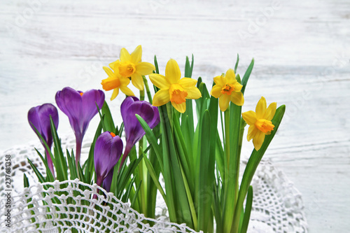 Fototapeta Naklejka Na Ścianę i Meble -  Crocus with daffodils on lace 